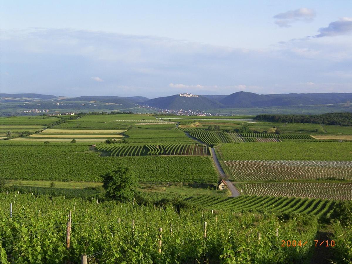 Asbacher Klosterkeller Stratzing المظهر الخارجي الصورة
